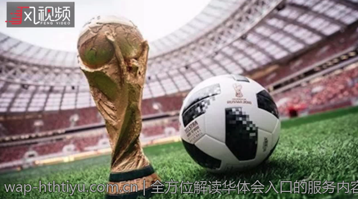 全方位解读华体会入口的服务内容
